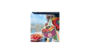Image of Air Freshener from Playa Bowls