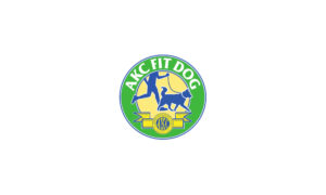 Image of the AKC FIT DOG magnet