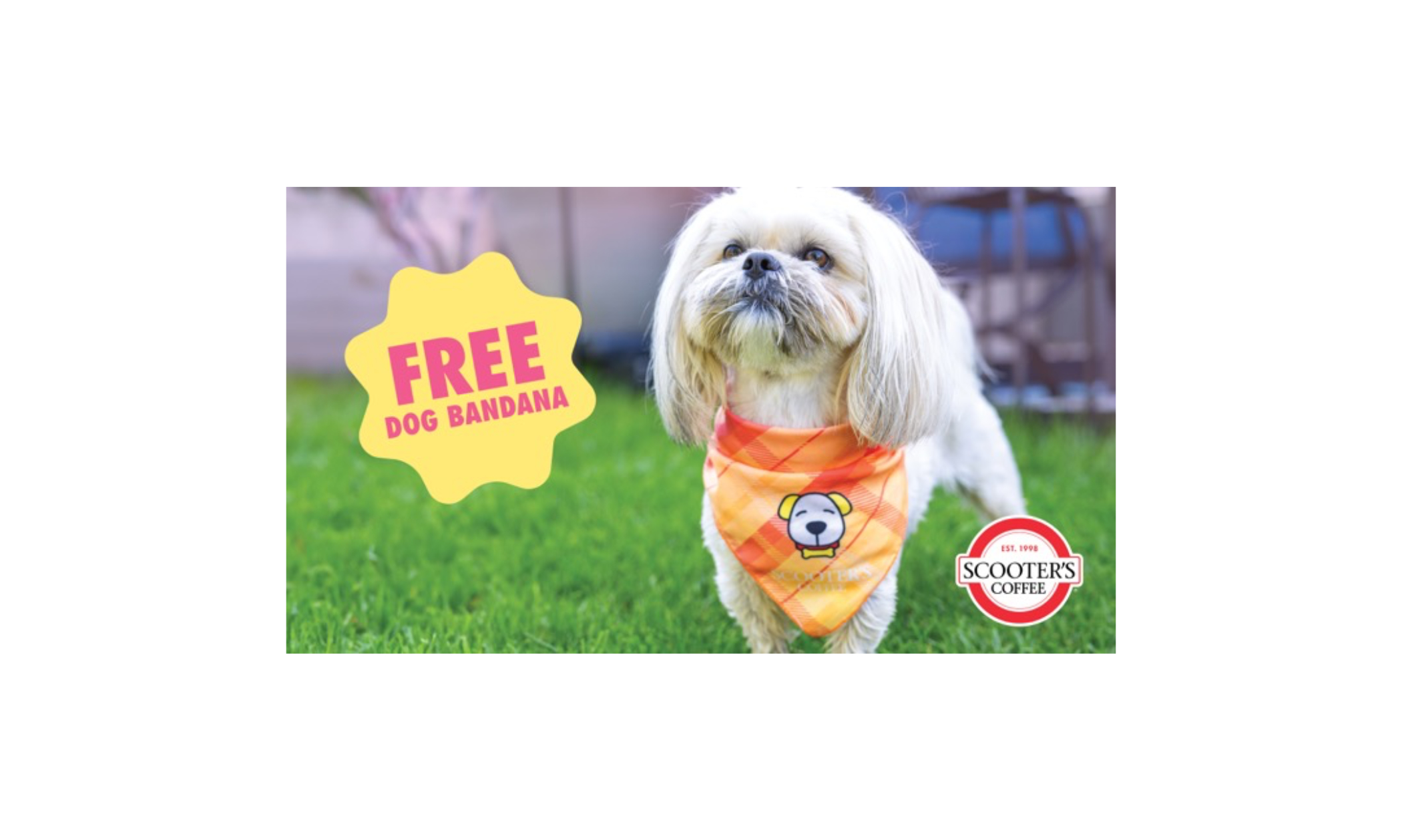 Image of Dog Bandana at Scooter’s Coffee