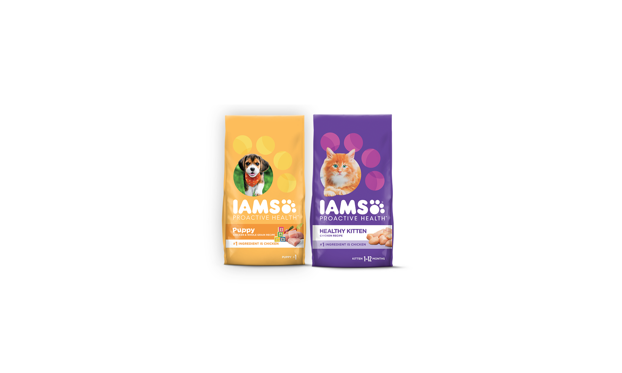 Image of Kitten Dry Food from IAMS