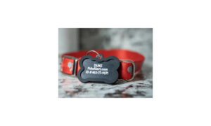 Image of Tabby ID Tag from FidoAlert