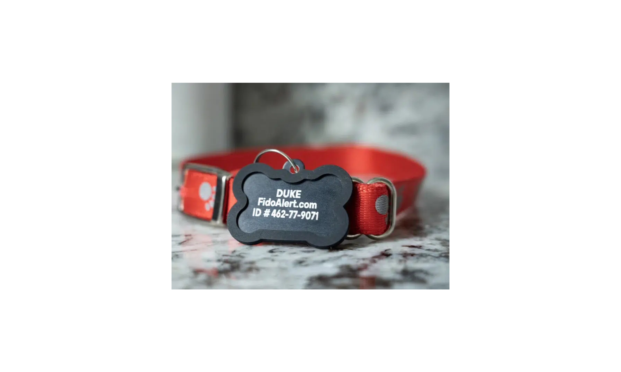 Image of Tabby ID Tag from FidoAlert