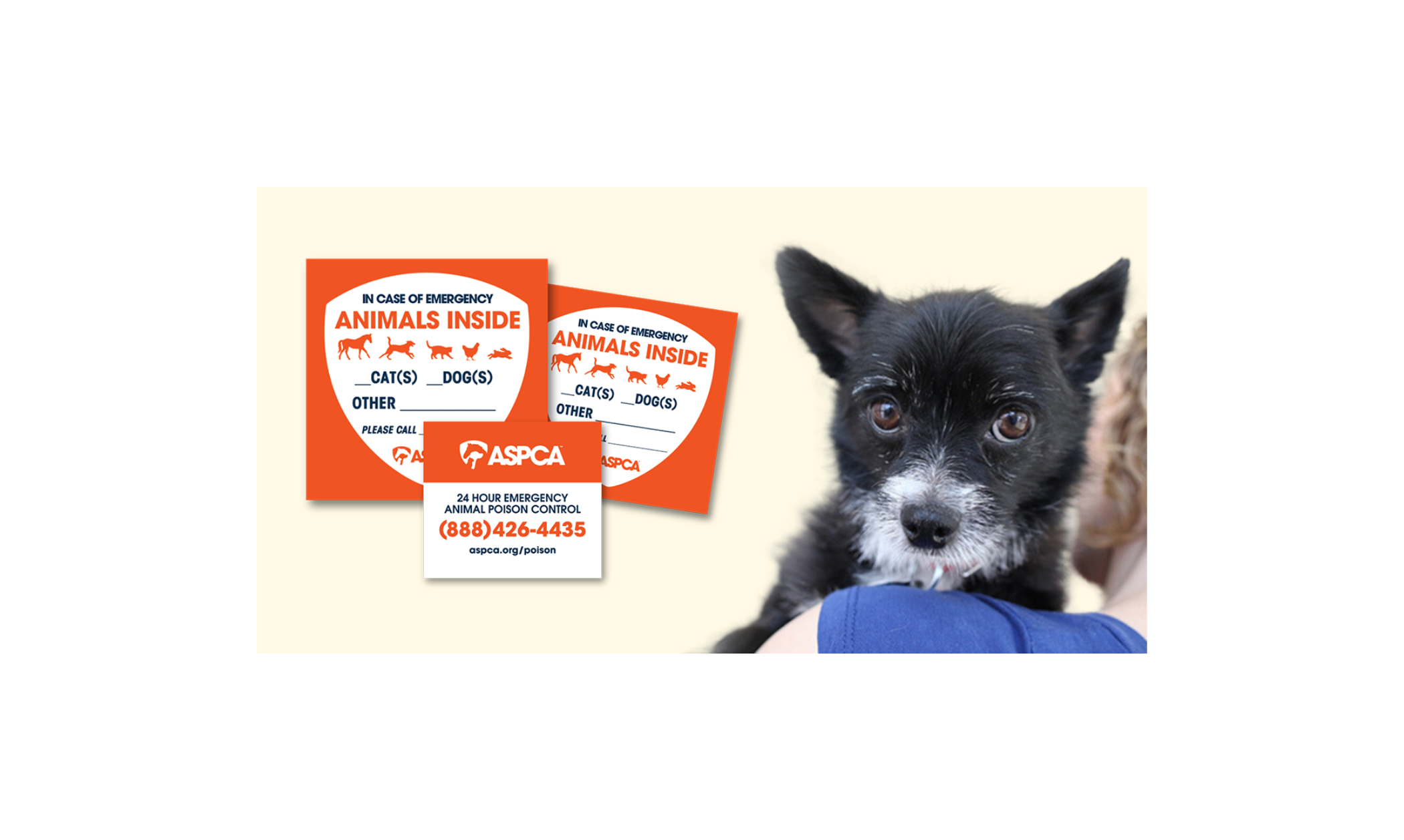 Image of a free Pet Safety Pack from ASPCA